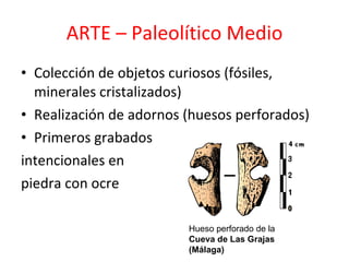 ARTE – Paleolítico Medio Colección de objetos curiosos (fósiles, minerales cristalizados) Realización de adornos (huesos perforados) Primeros grabados  intencionales en piedra con ocre Hueso perforado de la Cueva de Las Grajas (Málaga) 