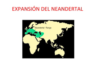 EXPANSIÓN DEL NEANDERTAL 