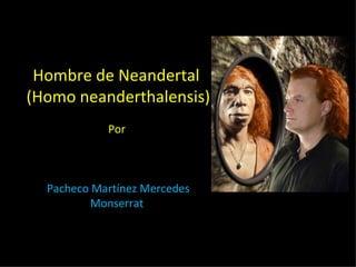 Hombre de Neandertal  (Homo neanderthalensis) Por  Pacheco Martínez Mercedes Monserrat  