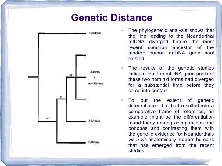 Neanderthals, Lecture 9