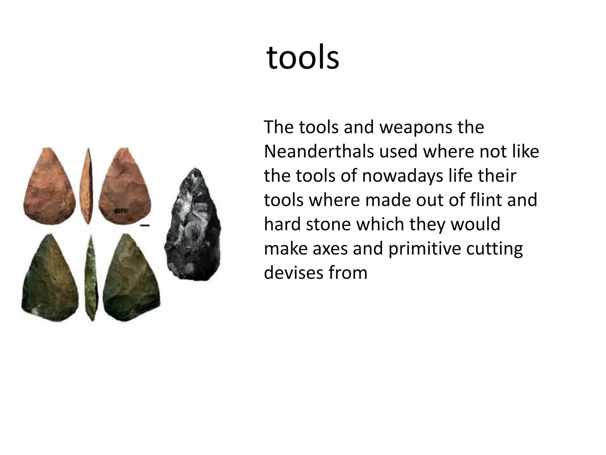 Neanderthals Using Tools Neanderthals powerpoint | PPTX