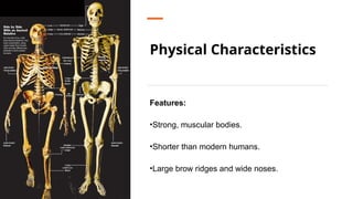 Neanderthals Presentation _ Gateway .pptx