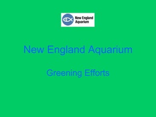 New England Aquarium Greening Efforts 