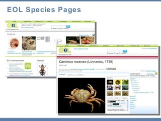 EOL Species Pages 