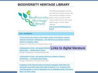Links to digital literature 