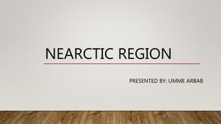 NEARCTIC REGION
PRESENTED BY: UMME ARBAB
 