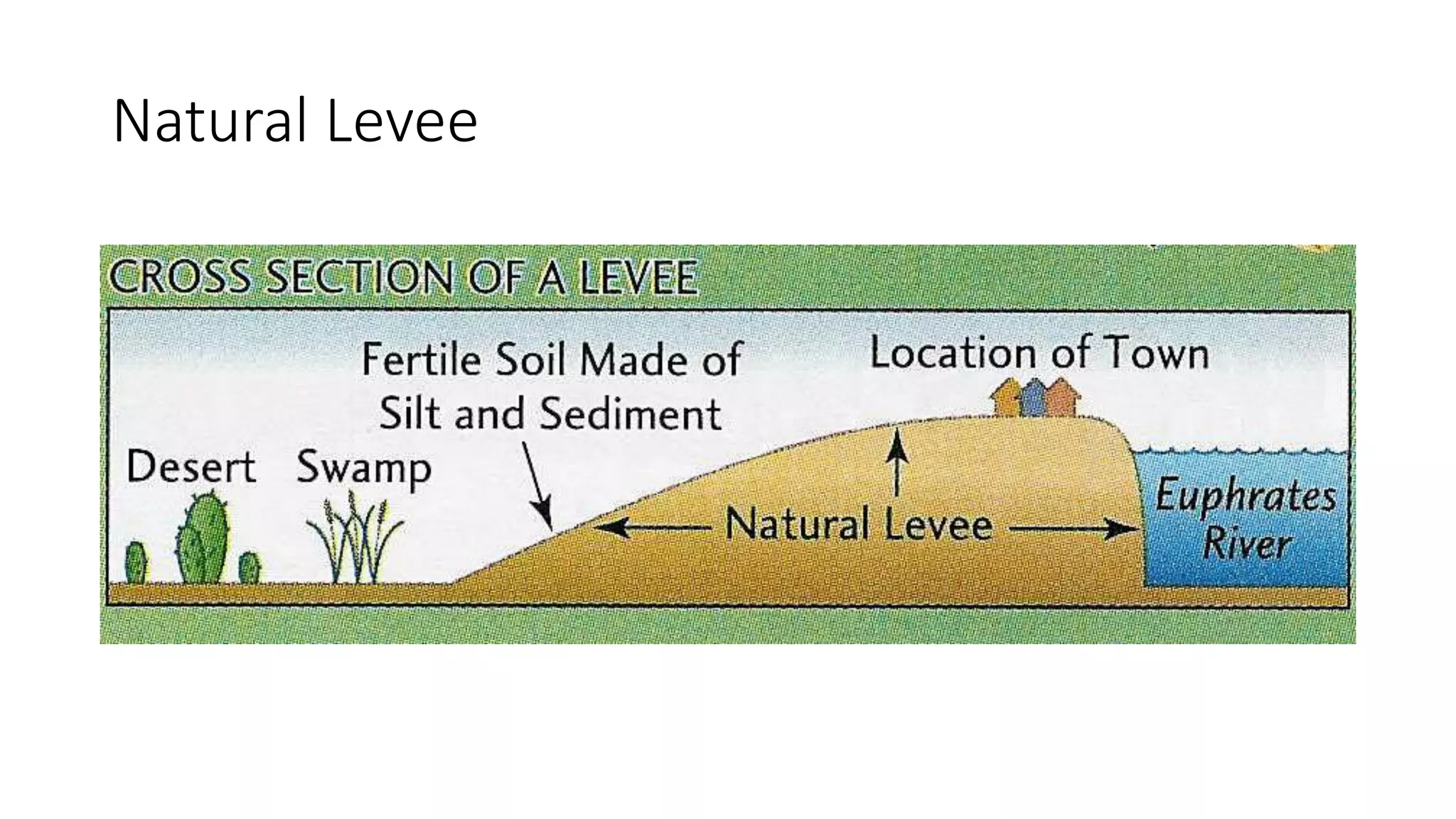 Natural Levee
 