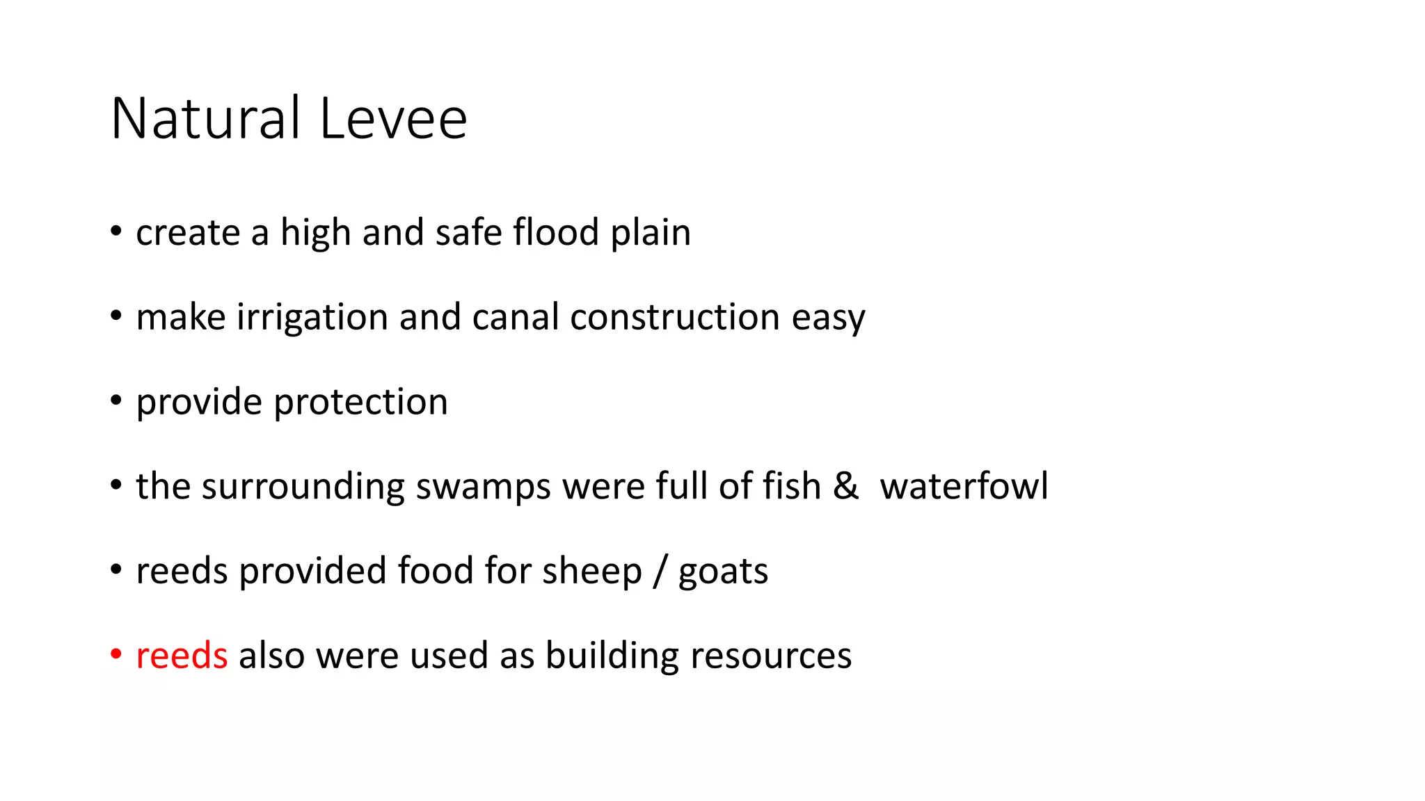 Natural Levee
• create a high and safe flood plain
• make irrigation and canal construction easy
• provide protection
• the surrounding swamps were full of fish & waterfowl
• reeds provided food for sheep / goats
• reeds also were used as building resources
 