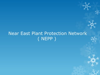 Near East Plant Protection Network 
( NEPP ) 
 
