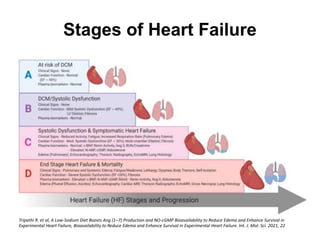 Stages of Heart Failure
Tripathi R. et al, A Low-Sodium Diet Boosts Ang (1–7) Production and NO-cGMP Bioavailability to Reduce Edema and Enhance Survival in
Experimental Heart Failure, Bioavailability to Reduce Edema and Enhance Survival in Experimental Heart Failure. Int. J. Mol. Sci. 2021, 22
 