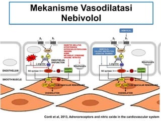 Conti et al, 2013, Adrenoreceptors and nitric oxide in the cardiovascular system
Mekanisme Vasodilatasi
Nebivolol
 
