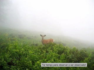 Ter tempo para observar e ser observado! 
 