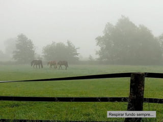 Respirar fundo sempre... 
 