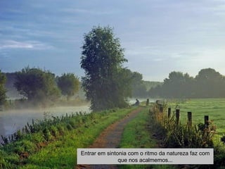 Entrar em sintonia com o ritmo da natureza faz com 
que nos acalmemos... 
 