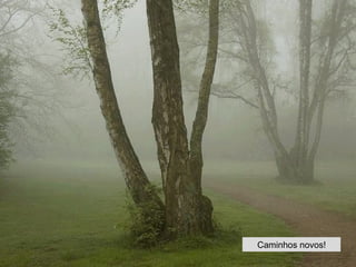 Caminhos novos! 
 
