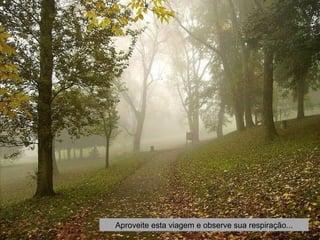 Aproveite esta viagem e observe sua respiração... 
 
