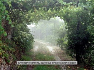 Enxergar o caminho, aquilo que ainda está por realizar! 
 