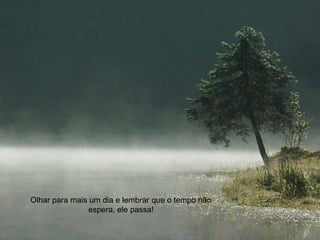 Olhar para mais um dia e lembrar que o tempo não 
espera, ele passa! 
 