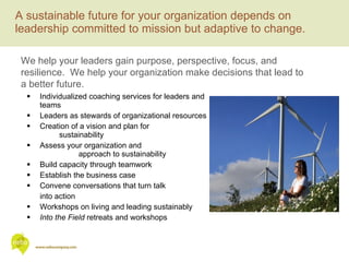 Individualized coaching services for leaders and teams Leaders as stewards of organizational resources Creation of a vision and plan for  sustainability Assess your organization and  approach to sustainability Build capacity through teamwork Establish the business case  Convene conversations that turn talk  into action Workshops on living and leading sustainably Into the Field  retreats and workshops A sustainable future for your organization depends on leadership committed to mission but adaptive to change. We help your leaders gain purpose, perspective, focus, and  resilience.  We help your organization make decisions that lead to a better future. 