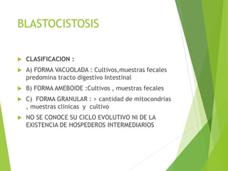 BLASTOCISTOSIS
 CLASIFICACION :
 A) FORMA VACUOLADA : Cultivos,muestras fecales
predomina tracto digestivo Intestinal
 B) FORMA AMEBOIDE :Cultivos , muestras fecales
 C) FORMA GRANULAR : > cantidad de mitocondrias
, muestras clinicas y cultivo
 NO SE CONOCE SU CICLO EVOLUTIVO NI DE LA
EXISTENCIA DE HOSPEDEROS INTERMEDIARIOS
 