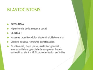 BLASTOCISTOSIS
 PATOLOGIA :
 Hiperhemia de la mucosa cecal
 CLINICA :
 Nauseas ,vomitos dolor abdominal,flatulencia
 Diarrea acuosa ,tenesmo constipacion
 Prurito anal, bajo peso, malestar general ,
anorexia fiebre ,perdida de sangre en heces
eosinofilia de 4 - 12 % ,Autolimitado en 3 dias
 