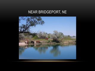 NEAR BRIDGEPORT, NE