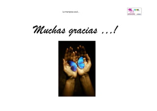 La mariposa azul…




Muchas gracias …!
 