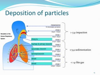 13
Deposition of particles
> 5 µ impaction
1-5 µ sedimentation
< 1 µ like gas
 