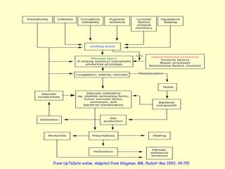 From UpToDate online, Adapted from Kliegman, RM, Pediatr Res 1993; 34:701.
 