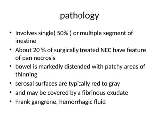 pathology
• Involves single( 50% ) or multiple segment of
inestine
• About 20 % of surgically treated NEC have feature
of pan necrosis
• bowel is markedly distended with patchy areas of
thinning
• serosal surfaces are typically red to gray
• and may be covered by a fibrinous exudate
• Frank gangrene, hemorrhagic fluid
 