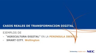 CASOS REALES DE TRANSFORMACION DIGITAL
EJEMPLOS DE
- “AGRICULTURA DIGITAL” EN LA PENINSULA IBERICA
- SMART CITY. Wellington
 