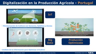 12 © NEC Corporation 2016 NEC Group Internal Use Only
Digitalización en la Producción Agrícola - Portugal
- Monitorización de Cultivos con Sensores, Satélites y drones
- Análisis de la Información para Optimizar el Cultivo
IoT
Big
Data
Producción
Optimizada
 