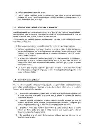 15
b) La GaK presenta espinas en las ramas.
c) La hoja caulinar de la GaK es de forma triangular, tiene líneas rectas que asemejan la
punta de una lanza, y en la parte inmediata a su vértice posee un triángulo de textura y
color diferentes al resto de la hoja.
3.2. Selección de los Culmos de GaK en la plantación
Los productores de GaK deben llevar un control de la edad de cada culmo en las plantaciones,
la composición ideal de tallos en un bosque de bambú, es de aproximadamente un 10% de
brotes, un 30% de tallos jóvenes y un 60% de tallos maduros.
Adicionalmente, los culmos que tienen una edad entre 4 y 6 años, tienen varios signos visibles
que indican su madurez:
a) Color verde oscuro, cuyas bandas blancas en los nudos son apenas perceptibles.
b) Manchas espaciadas de líquenes en el culmo, en forma de motas de color blanquecino
que son indicativos de que es un culmo maduro y apto para su aprovechamiento en la
construcción. Si carece de estas manchas, es indicativo de que es un culmo no maduro,
no apto para construcción.
c) Si el culmo está totalmente cubierto de líquenes, y es de color blanquecino-amarillento,
es indicativo de que es un culmo viejo o sobre maduro, no apto para ser usado en
construcción, por no tener la misma resistencia físico - mecánica que un culmo en estado
óptimo de madurez.
d) Los culmos con agujeros producidos por aves e insectos, o que presenten muerte
descendente (cuando la planta empieza a secarse desde la parte alta de la guadua hacia
abajo) serán desechados.
3.3. Corte de Culmos y Ramas
Una vez seleccionados los culmos de GaK que pueden ser aprovechados para la construcción,
para realizar un corte adecuado y optimizar el aprovechamiento de este recurso, es necesario
tener en cuenta los siguientes aspectos:
a) Los culmos maduros seleccionados, serán cortados a ras del primer nudo inferior, con
el fin de evitar que en el tocón se acumule agua y prevenir la pudrición del sistema
radicular de la planta.
b) Después del corte, se procederá al apeo o tumbado del culmo, evitando que éste, en
su caída, se reviente, fisure o rompa. Se recomienda usar un horcón u horqueta, que
permita el apeo con caída segura del culmo, si las condiciones lo requieren.
c) El corte de ramas será realizado con machete o sierra, cortando desde el ángulo
inferior que forma cada rama con el culmo hacia la parte superior, para evitar el
desgarramiento de las fibras del culmo.
d) Se procederá a la extracción de los culmos, cuidando que sus extremos no se
deterioren por el arrastre.
 