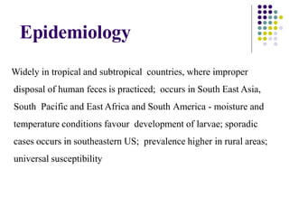 Epidemiology
Widely in tropical and subtropical countries, where improper
disposal of human feces is practiced; occurs in South East Asia,
South Pacific and East Africa and South America - moisture and
temperature conditions favour development of larvae; sporadic
cases occurs in southeastern US; prevalence higher in rural areas;
universal susceptibility
 