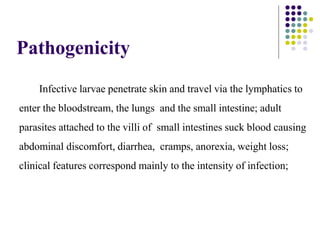 Pathogenicity
Infective larvae penetrate skin and travel via the lymphatics to
enter the bloodstream, the lungs and the small intestine; adult
parasites attached to the villi of small intestines suck blood causing
abdominal discomfort, diarrhea, cramps, anorexia, weight loss;
clinical features correspond mainly to the intensity of infection;
 