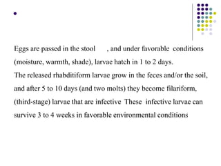 
Eggs are passed in the stool , and under favorable conditions
(moisture, warmth, shade), larvae hatch in 1 to 2 days.
The released rhabditiform larvae grow in the feces and/or the soil,
and after 5 to 10 days (and two molts) they become filariform,
(third-stage) larvae that are infective These infective larvae can
survive 3 to 4 weeks in favorable environmental conditions
 