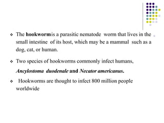  The hookwormis a parasitic nematode worm that lives in the
small intestine of its host, which may be a mammal such as a
dog, cat, or human.
 Two species of hookworms commonly infect humans,
Ancylostoma duodenale and Necator americanus.
 Hookworms are thought to infect 800 million people
worldwide
 