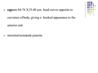  eggsare 64-76 X35-40 µm head curves opposite to
curvature ofbody, giving a hooked appearance to the
anterior end
 intestinalnematode parasite
 