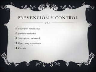 PREVENCIÓN Y CONTROL

 Educación para la salud

 Servicios sanitarios

 Saneamiento ambiental

 Detección y tratamiento

 Calzado
 
