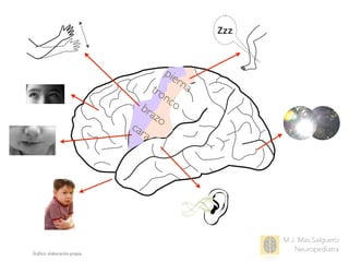 M.J. Mas Salguero
Neuropediatra
piernatroncobrazo
cara
Zzz
Gráﬁco: elaboración propia
 