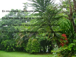 En mis sueños…tus deseos son míos En la vida nada de eso es concedido Siempre vago entre esos mundos…el tuyo y el mío Entre uno hermoso e  imaginario y el del cruel destino 