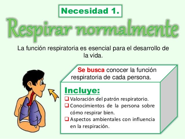 Las 14 Necesidades Según Virginia Henderson SlideShare