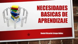 NECESIDADES
BASICAS DE
APRENDIZAJE
Daniel Ricardo Estepa Núñez
 