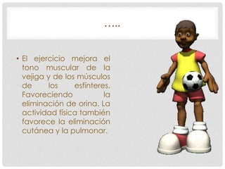 ….. 
• El ejercicio mejora el 
tono muscular de la 
vejiga y de los músculos 
de los esfínteres. 
Favoreciendo la 
eliminación de orina. La 
actividad física también 
favorece la eliminación 
cutánea y la pulmonar. 
 