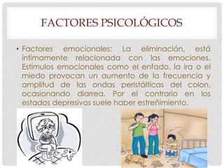 FACTORES PSICOLÓGICOS 
• Factores emocionales: La eliminación, está 
íntimamente relacionada con las emociones. 
Estímulos emocionales como el enfado, la ira o el 
miedo provocan un aumento de la frecuencia y 
amplitud de las ondas peristálticas del colon, 
ocasionando diarrea. Por el contrario en los 
estados depresivos suele haber estreñimiento. 
 
