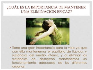 ¿CUÁL ES LA IMPORTANCIA DE MANTENER 
UNA ELIMINACIÓN EFICAZ? 
• Tiene una gran importancia para la vida ya que 
con ella mantenemos el equilibrio de líquidos y 
sustancias del medio interno, y al eliminar las 
sustancias de deshecho mantenemos un 
funcionamiento adecuado de los diferentes 
órganos. 
 