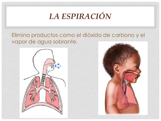Necesidades de eliminación