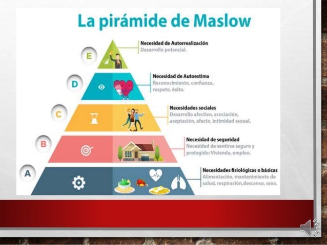 Necesidades del consumidor