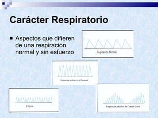 Carácter Respiratorio Aspectos que difieren de una respiración normal y sin esfuerzo 