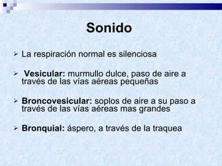 Sonido   La respiración normal es silenciosa Vesicular:  murmullo dulce, paso de aire a través de las vías aéreas pequeñas Broncovesicular:  soplos de aire a su paso a través de las vías aéreas mas grandes Bronquial:  áspero, a través de la traquea 
